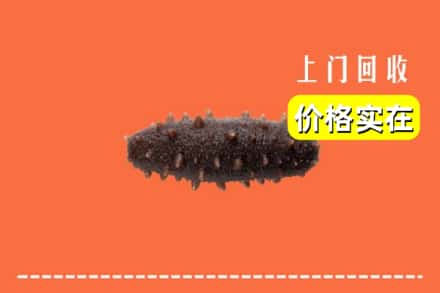 潮南区回收海参