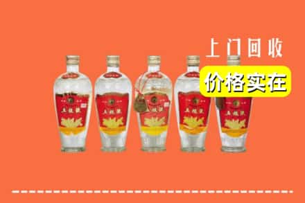 诚信求购:潮南区高价回收老五粮液